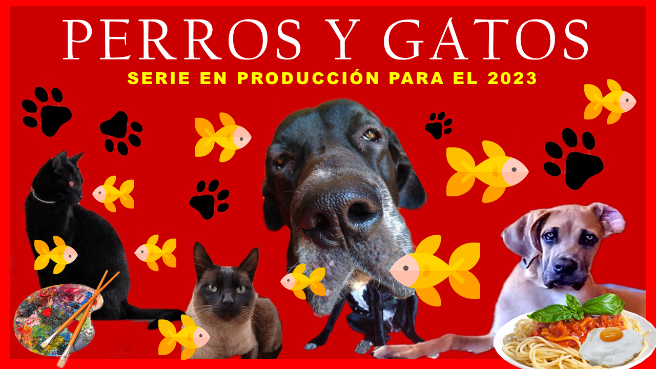 perros y gatos