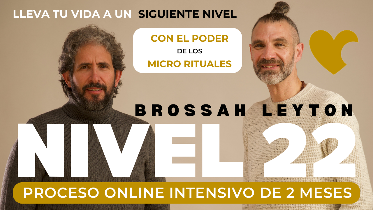 nivel 22 proceso