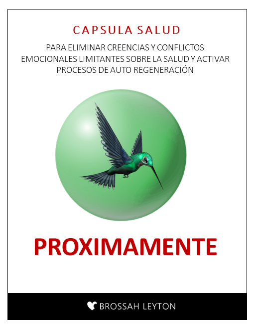 Diapositiva13