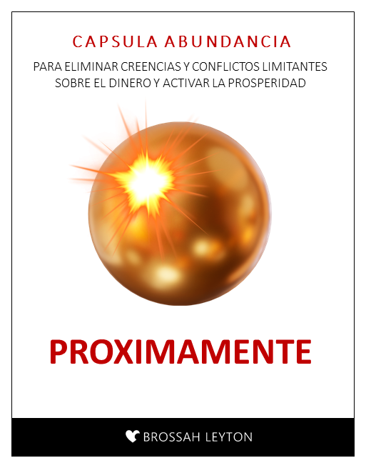 Diapositiva14