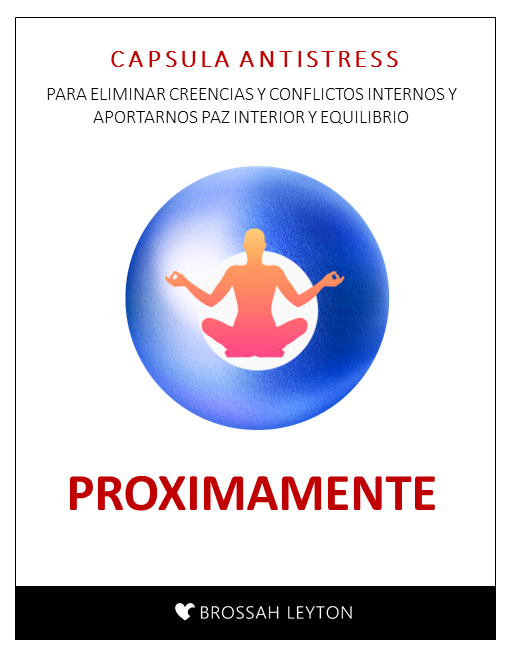 Diapositiva15