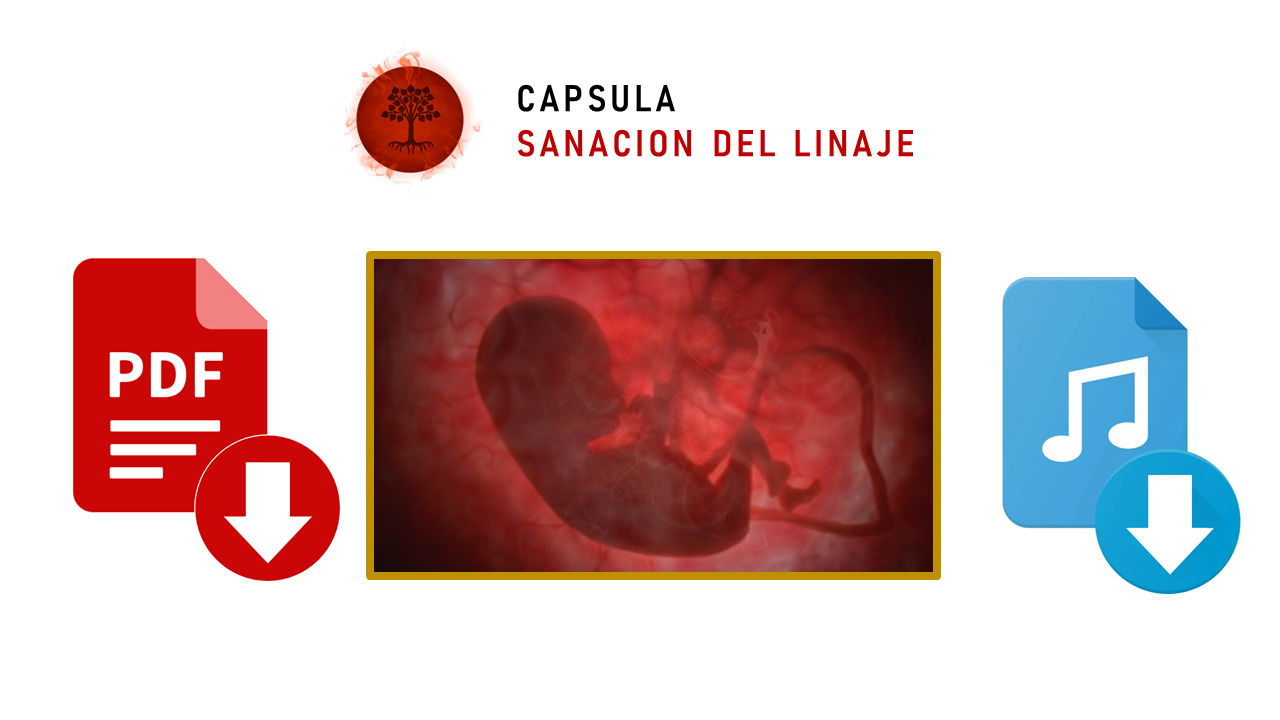Diapositiva5-1-1